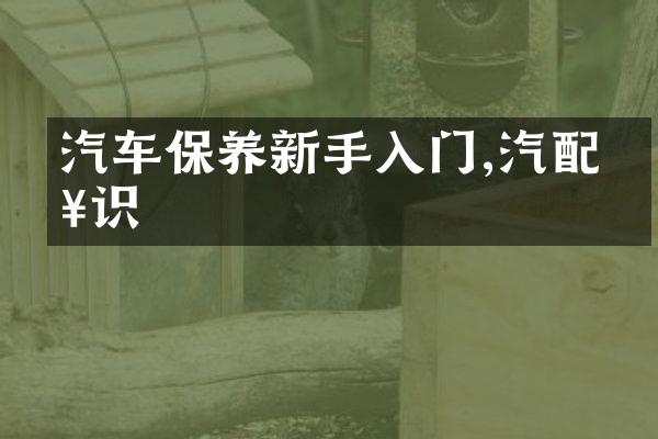 汽车保养新手入门,汽配知识