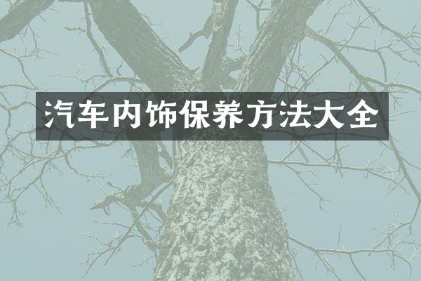 汽车内饰保养方法大全