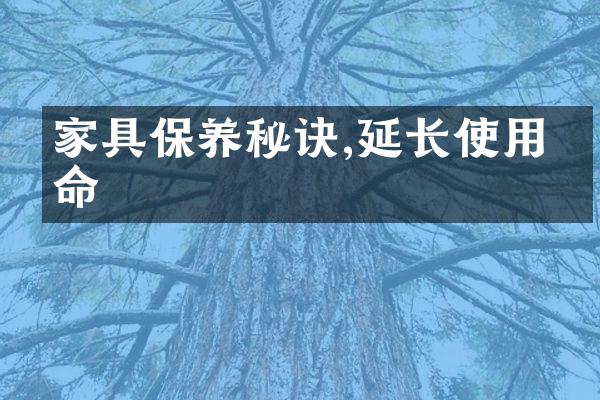 家具保养秘诀,延长使用寿命
