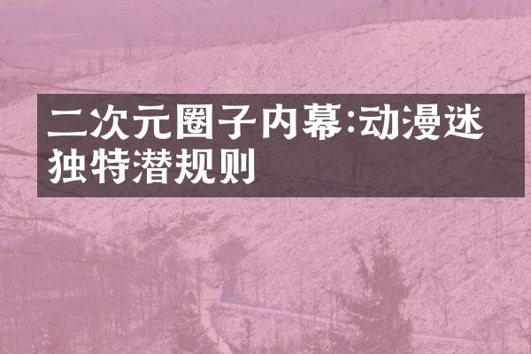 二次元圈子内幕:动漫迷的独特潜规则