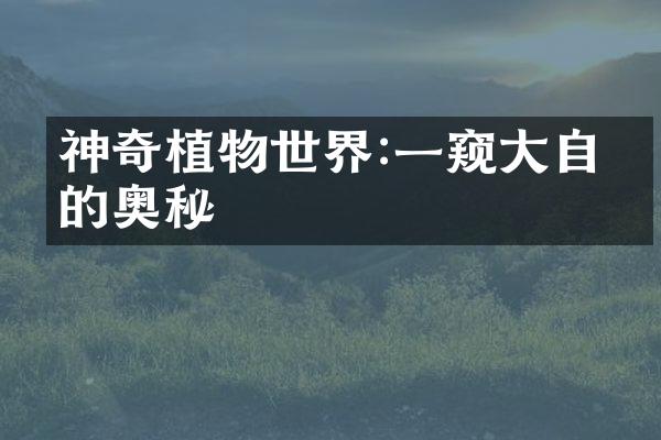 神奇植物世界:一窥大自然的奥秘