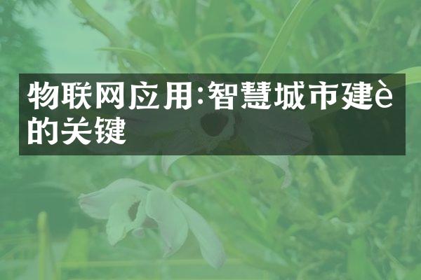 物联网应用:智慧城市建设的关键