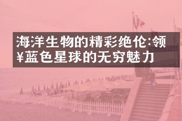 海洋生物的精彩绝伦:领略蓝色星球的无穷魅力