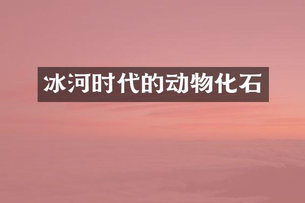 冰河时代的动物化石