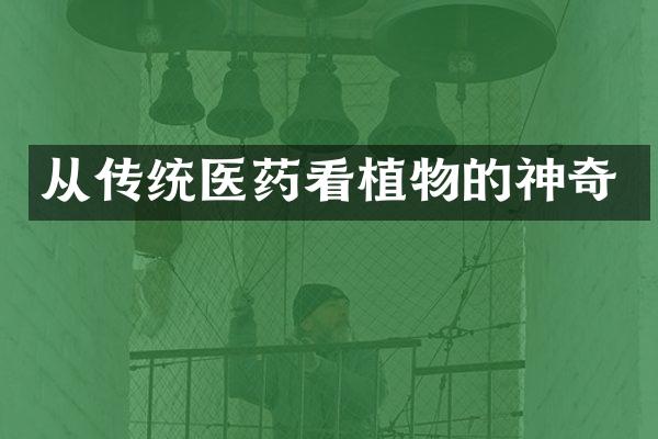 从传统医药看植物的神奇