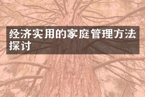 经济实用的家庭管理方法探讨