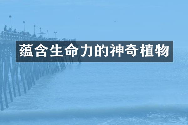 蕴含生命力的神奇植物