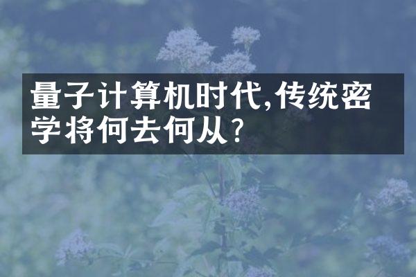 量子计算机时代,传统密码学将何去何从?