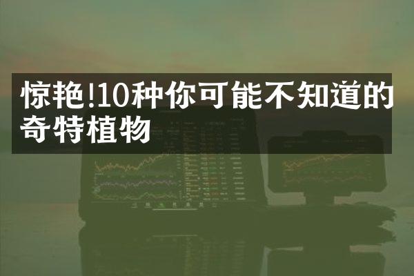 惊艳!10种你可能不知道的奇特植物