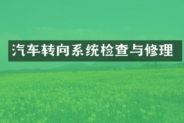 汽车转向系统检查与修理