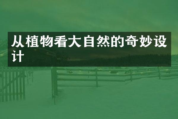 从植物看大自然的奇妙设计
