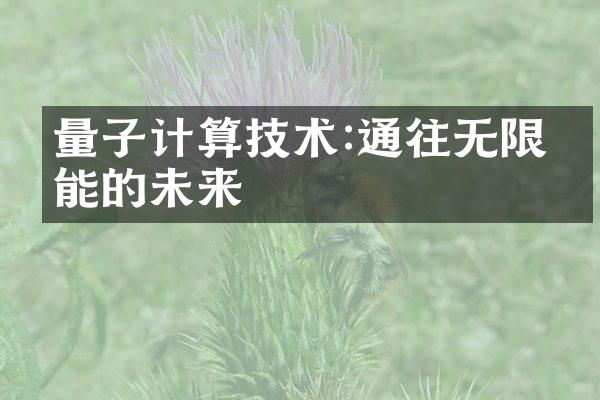 量子计算技术:通往无限可能的未来