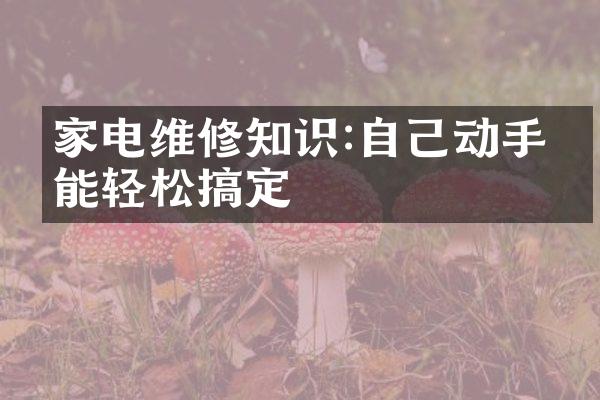 家电维修知识:自己动手也能轻松搞定