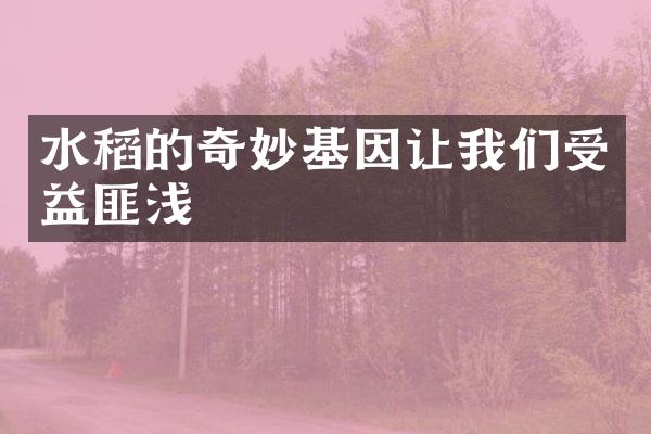 水稻的奇妙基因让我们受益匪浅