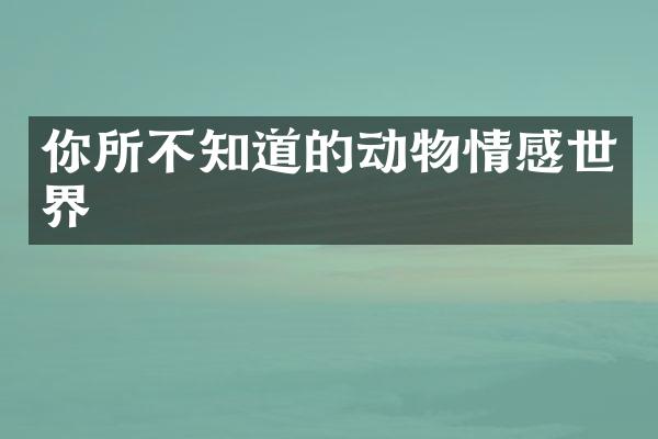 你所不知道的动物情感世界