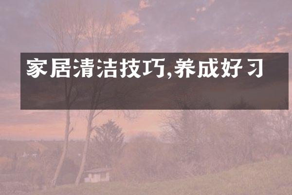 家居清洁技巧,养成好习惯