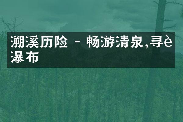 溯溪历险 - 畅游清泉,寻访瀑布