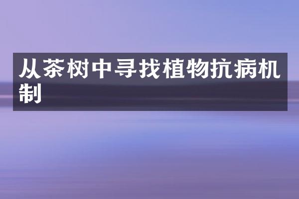 从茶树中寻找植物抗病机制