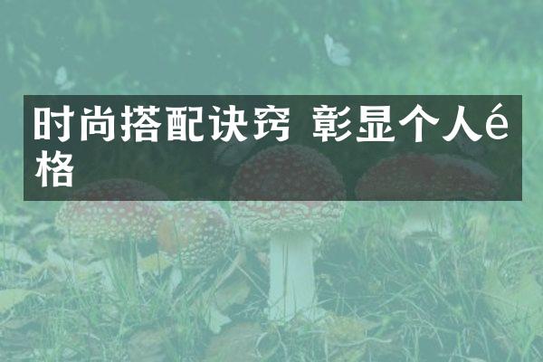 时尚搭配诀窍 彰显个人风格