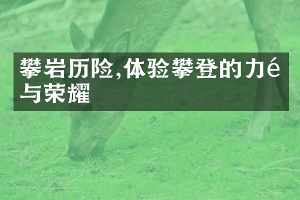 攀岩历险,体验攀登的力量与荣耀