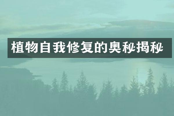 植物自我修复的奥秘揭秘