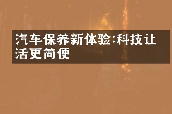 汽车保养新体验:科技让生活更简便