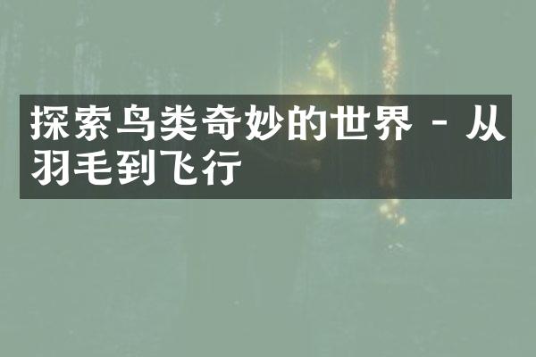 探索鸟类奇妙的世界 - 从羽毛到飞行