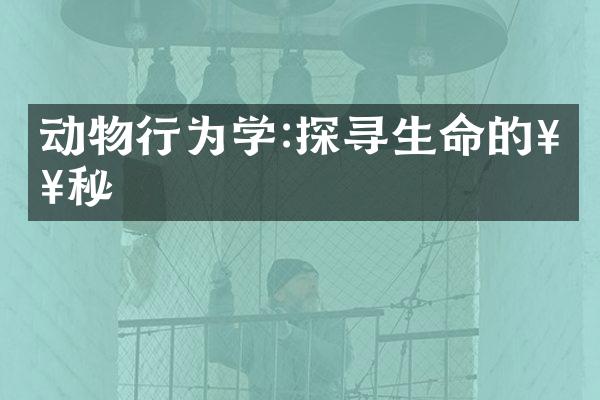 动物行为学:探寻生命的奥秘