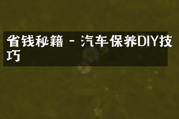 省钱秘籍 - 汽车保养DIY技巧