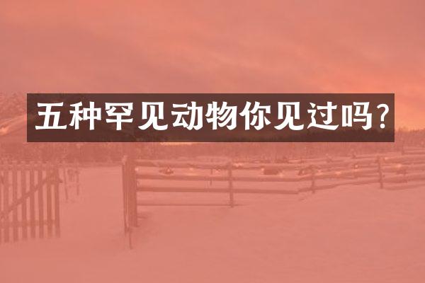 五种罕见动物你见过吗?