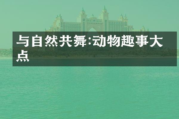 与自然共舞:动物趣事大盘点
