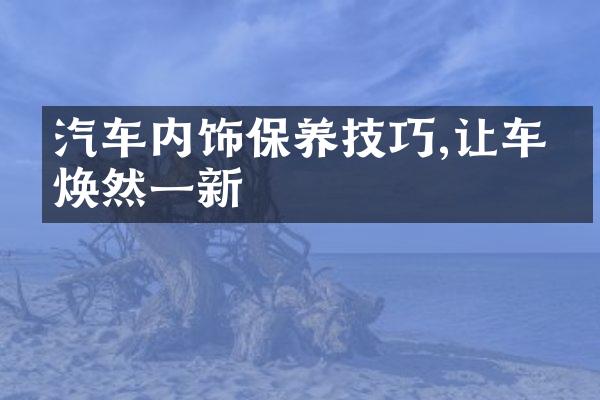 汽车内饰保养技巧,让车内焕然一新