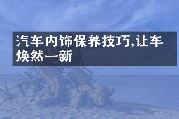 汽车内饰保养技巧,让车内焕然一新