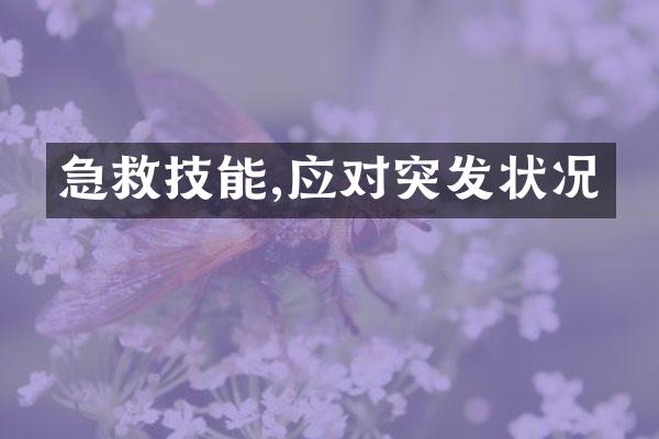 急救技能,应对突发状况