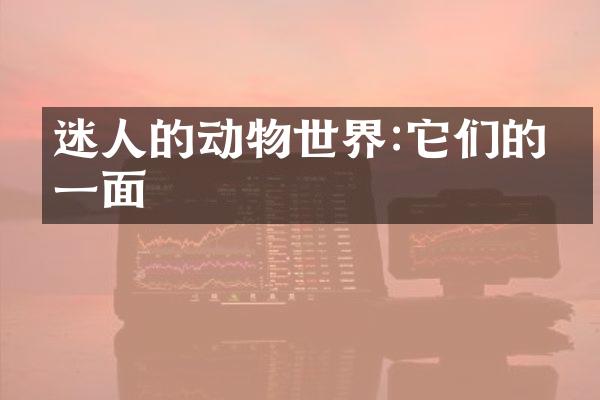 迷人的动物世界:它们的另一面
