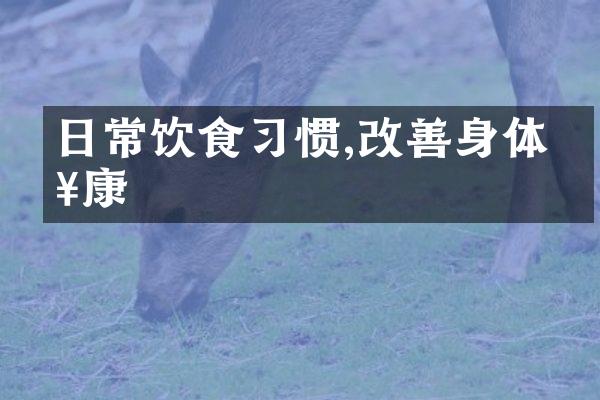 日常饮食习惯,改善身体健康