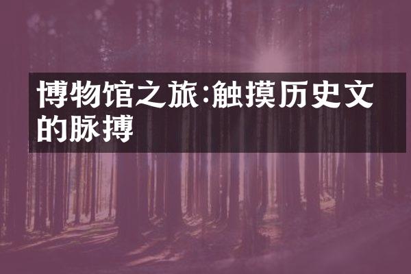 博物馆之旅:触摸历史文明的脉搏