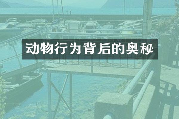 动物行为背后的奥秘