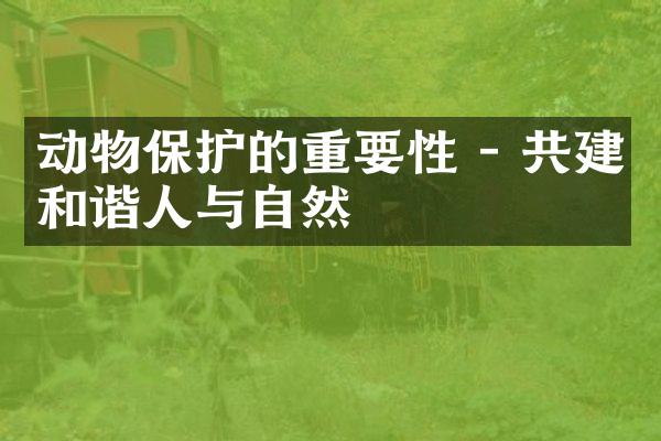 动物保护的重要性 - 共建和谐人与自然