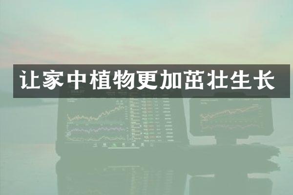让家中植物更加茁壮生长