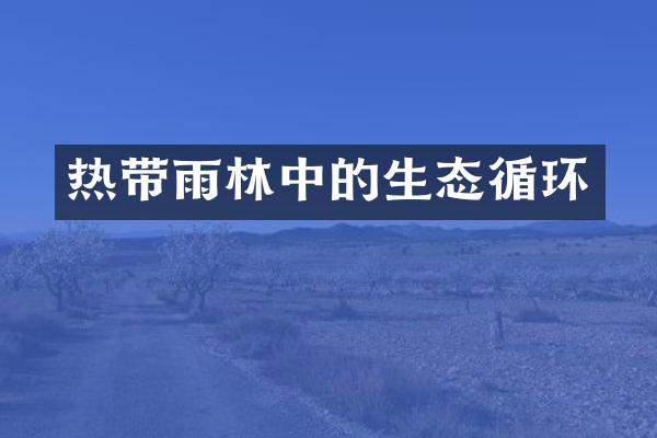 热带雨林中的生态循环