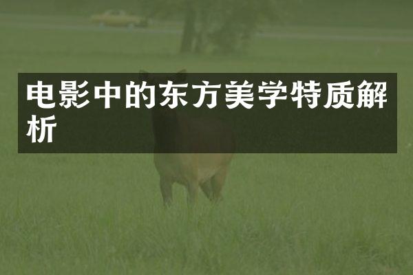 电影中的东方美学特质解析