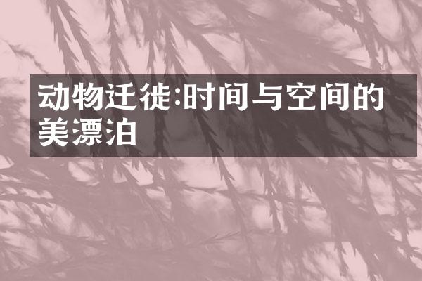 动物迁徙:时间与空间的壮美漂泊