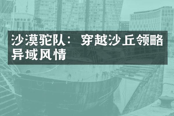 沙漠驼队：穿越沙丘领略异域风情