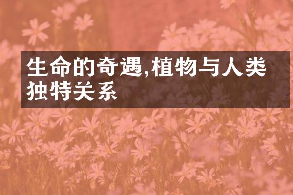 生命的奇遇,植物与人类的独特关系