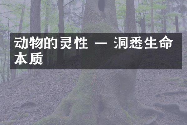 动物的灵性 — 洞悉生命的本质