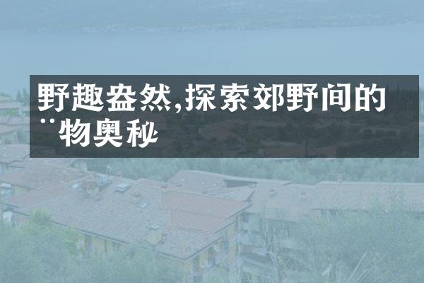 野趣盎然,探索郊野间的动物奥秘