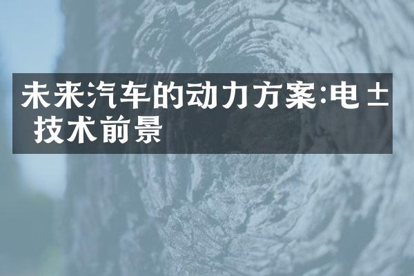 未来汽车的动力方案:电池技术前景