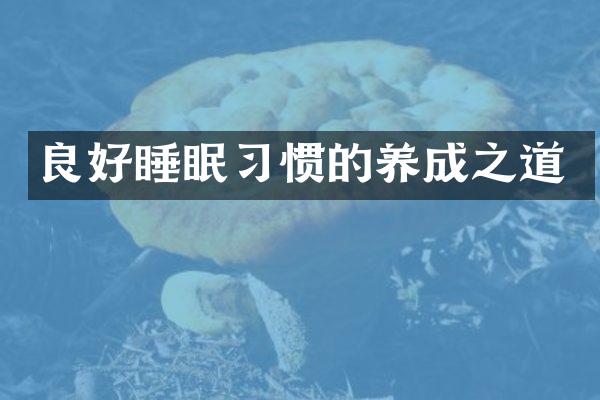 良好睡眠习惯的养成之道