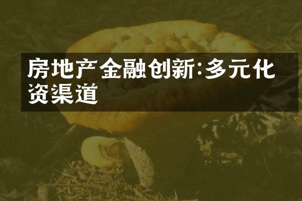 房地产金融创新:多元化投资渠道